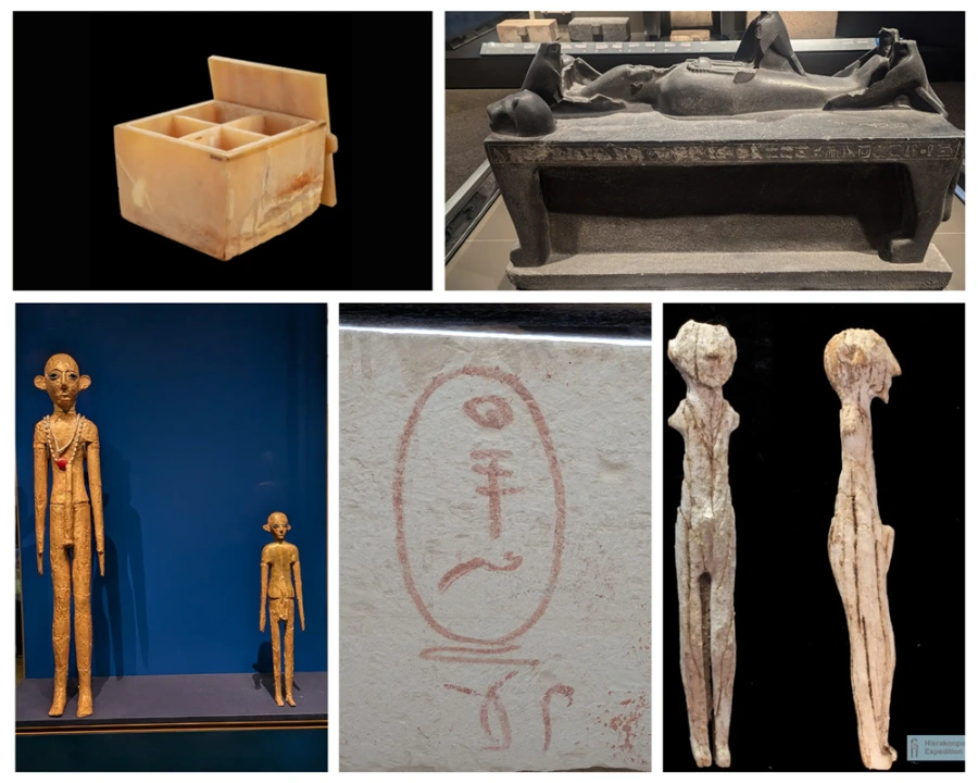 A photo collage showing (clockwise from top left- an alabaster canopic box, a black basalt statue of Osiris on a funerary bed, an ivory statuette of a man, missing arms, shown in front view and side view, a red hieroglyphic cartouche painted on white limestone, and two golden statuettes of men with large ears.