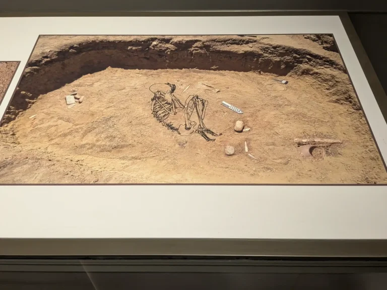 The image shows a photograph of the partially excavated tomb 72 from Hierakonpolis, with a number of the rich grave goods still in place, including an ivory statue, a pottery vessel, numerous flint knives, and stone palettes. There is an outline drawing of a skeleton in the center where it likely would have been placed in a fetal position in the tomb.